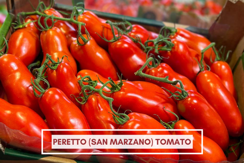 Peretto San Marzano Tomato