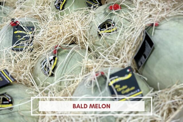 Bald melon