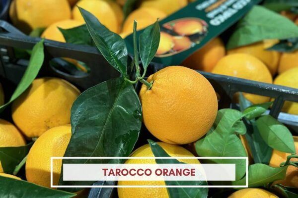 tarocco orange