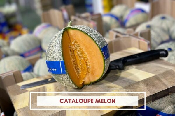 cataloupe melon