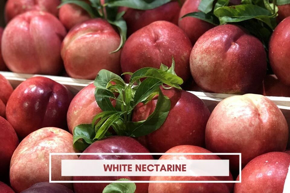 white nectarine