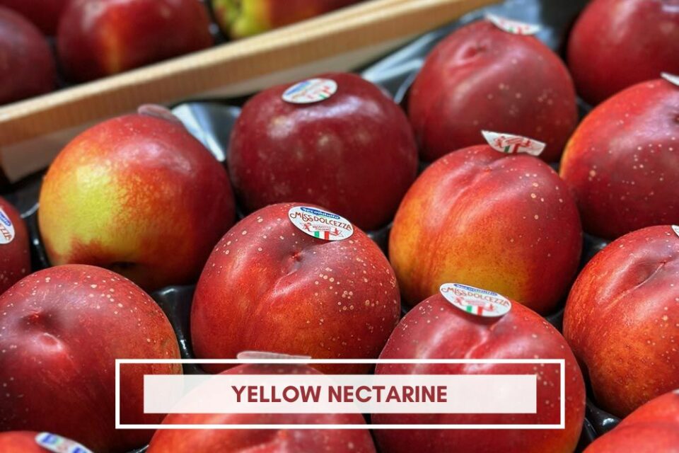 yellow nectarine