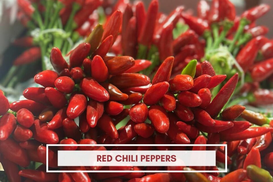 red chili peppers