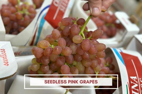 seedless pink grapes