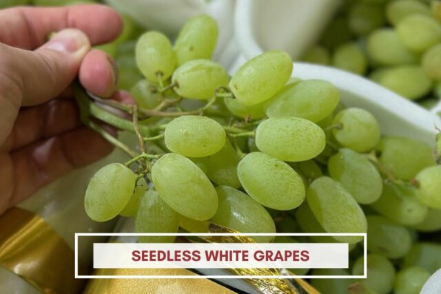 seedless white grapes