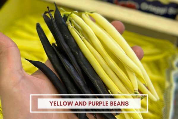 Yellow and purple beans